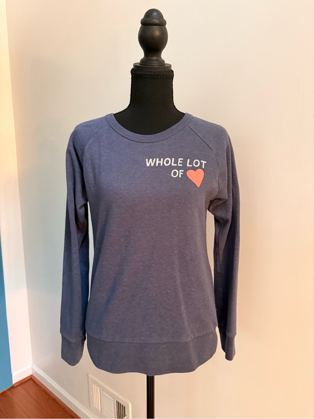 3/$25 Crewcuts Blue 'Whole Lot of' Heart Crewneck Sweatshirt Sz 14 - Picture 2 of 7